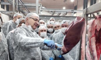 Belediye HALK ET kombinasına tam not