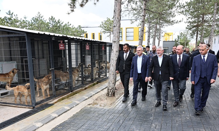 Bakan yardımcısından Çorum’a tam not