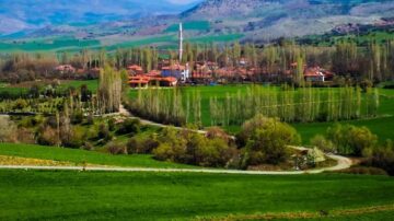 Narlık Köyü’nde Dayanışma şenliği yapılacak