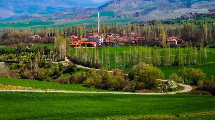 Narlık Köyü’nde Dayanışma şenliği yapılacak