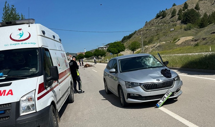 Aniden yola çıkan ineğe çarptı
