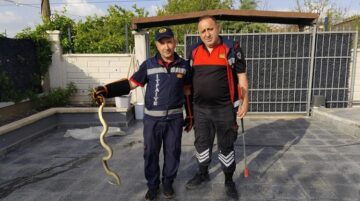 Eve giren yılan ekipleri seferber etti