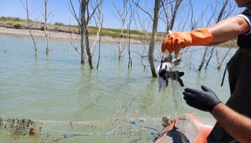 Koçhisar’da kaçak avcılara ceza kesildi