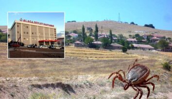 Çorum’da kene bir can daha aldı!