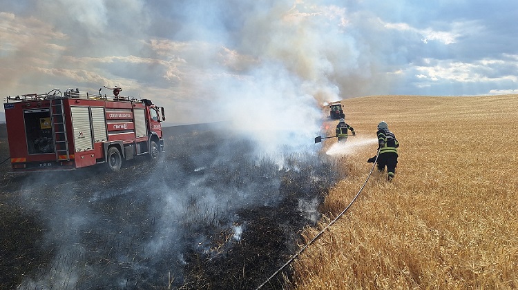 120 dekar buğday tarlası yandı