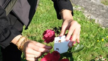 Yaprak bitine karşı biyolojik mücadele