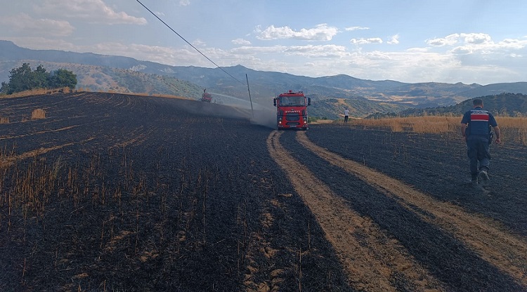 Çorum’da 25 dönüm buğday tarlası yandı