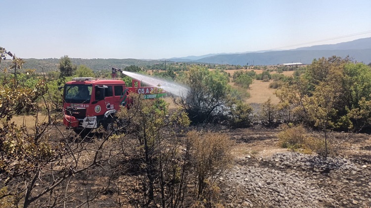 Ormanlık alanda çıkan yangın söndürüldü
