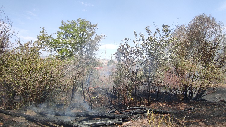 Yol kenarındaki atıklar yangın çıkardı