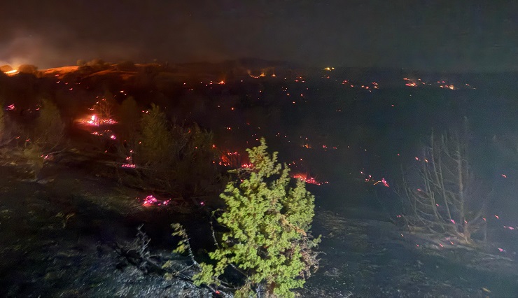 Yangın ormana sıçramadan söndürüldü
