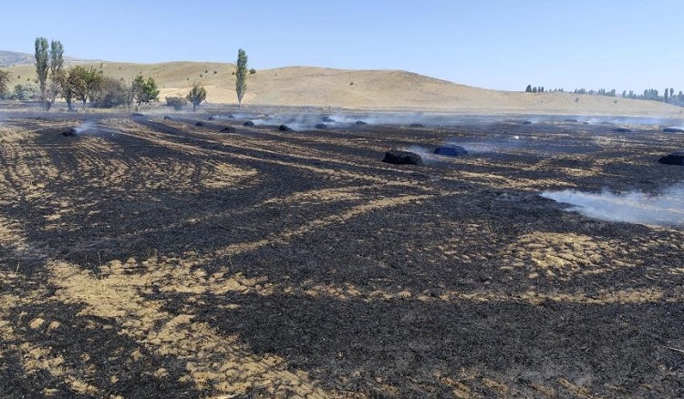 Yangında saman balyaları küle döndü
