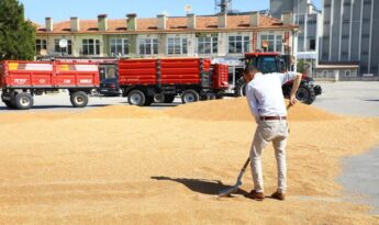 Çorum’da ilk mahsuller satışa sunuldu