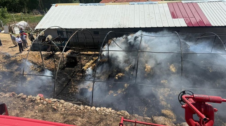 Yangında 550 balya ot kül oldu