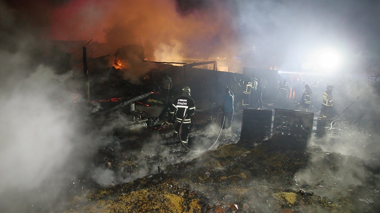 Yangında 2 ev ahır ve samanlık yandı