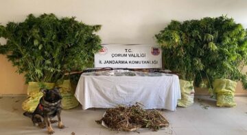 Çorum’da uyuşturucudan 2 kişi tutuklandı