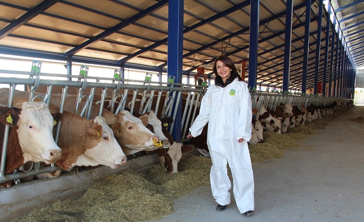 Hayvancılık sektörüne yeni hibe paketi