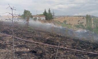Yangında 10 dekar alan zarar gördü
