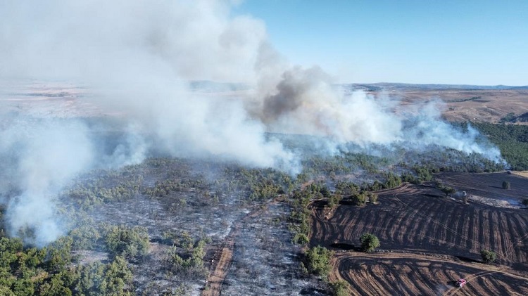Arazi yangını ormanlık alana sıçradı