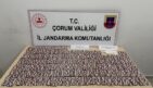 3 bin adet uyuşturucu hap ele geçirildi