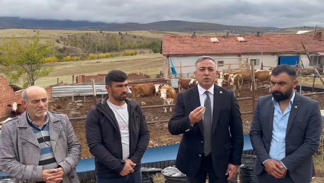 Hayvancılıkta tehlike çanları çalıyor