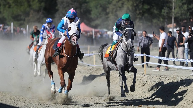 Türkiye’nin en iyi atları Çorum’da yarışacak