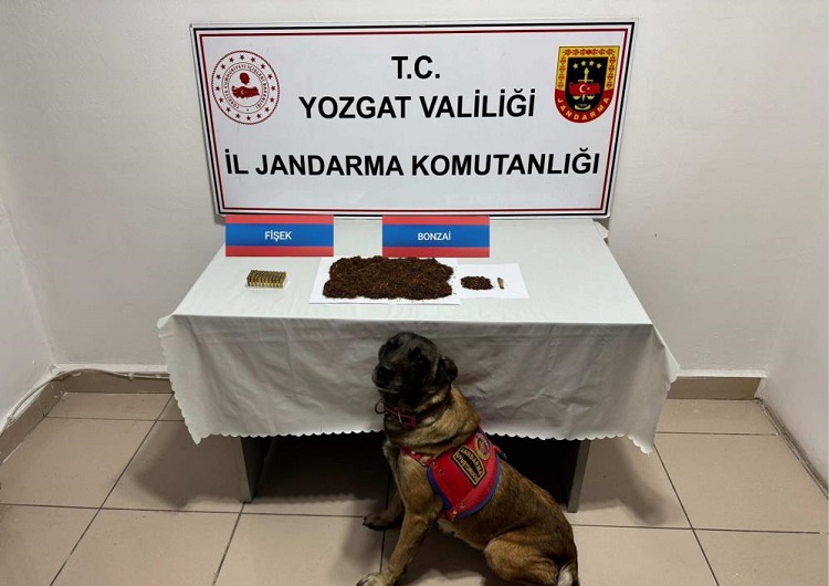 Çorum’da Yozgat’a uyuşturucu ticareti!