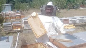 Çorum’da arıcılık kursu başlıyor