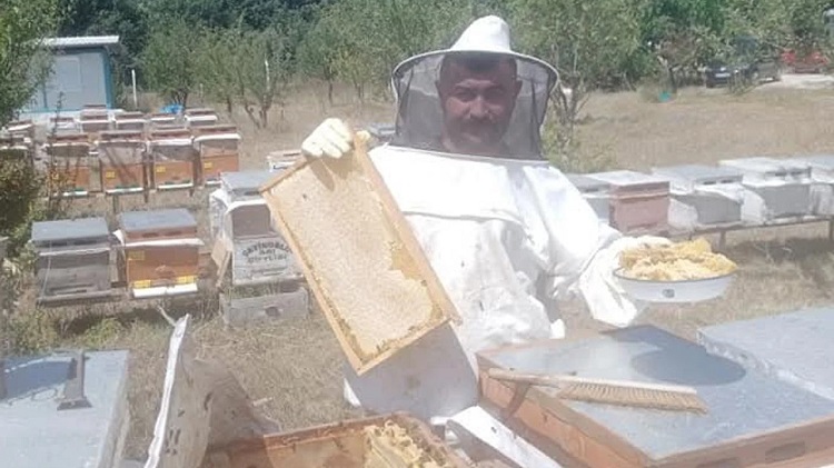 Çorum’da arıcılık kursu başlıyor