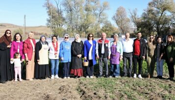 Çorum’da Safran Hasat Şenliği yapıldı