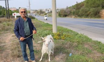 Çorum’dan gitti keçileri ile tatil yapıyor