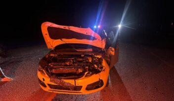 Otomobil yola çıkan danaya çarptı