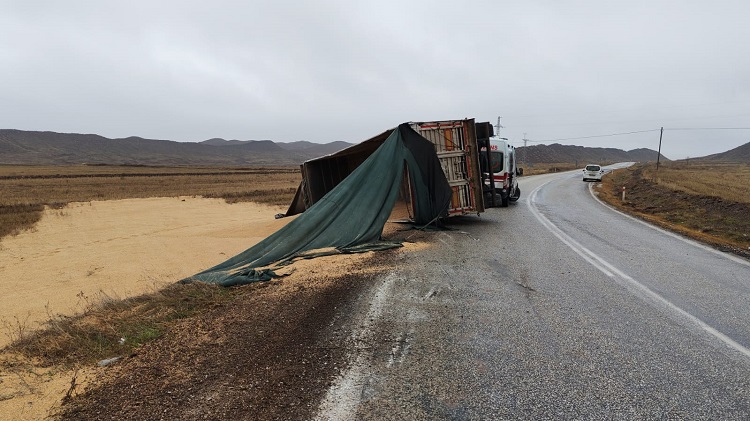 Buğday yüklü tır tarlaya devrildi