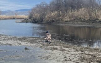 Bataklığa saplandı Jandarma kurtardı