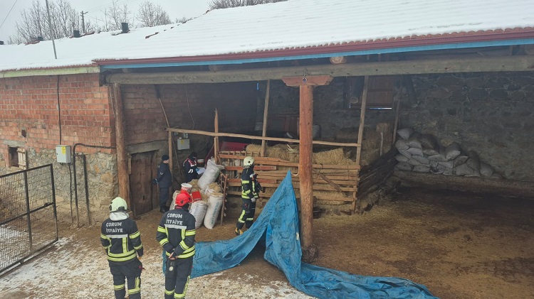Çorum’da yem karma makinesi can aldı