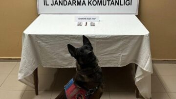 Jandarma’dan uyuşturucu operasyonu