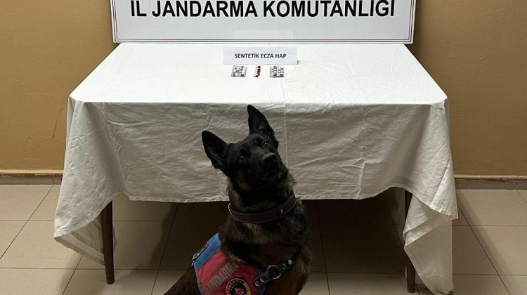 Jandarma’dan uyuşturucu operasyonu