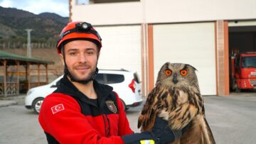 Yaralı bulunan puhu tedavi altına alındı