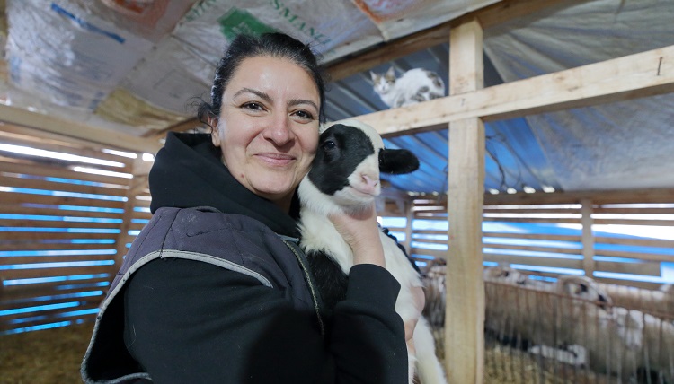 Köyüne dönerek hayvancılığa başladı