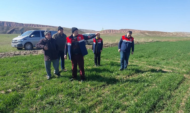 Hububat ekili arazide inceleme yapıldı