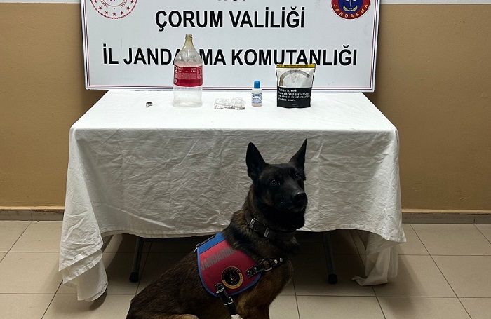 Evde uyuşturucu ile bir kişi yakalandı