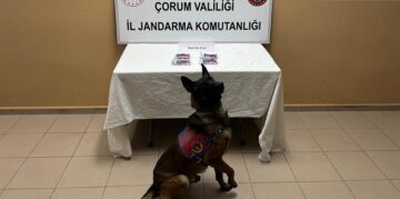 Uyuşturucudan 3 kişi yakalandı