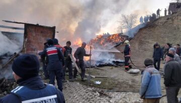 Köydeki yangında iki ev tamamen yandı