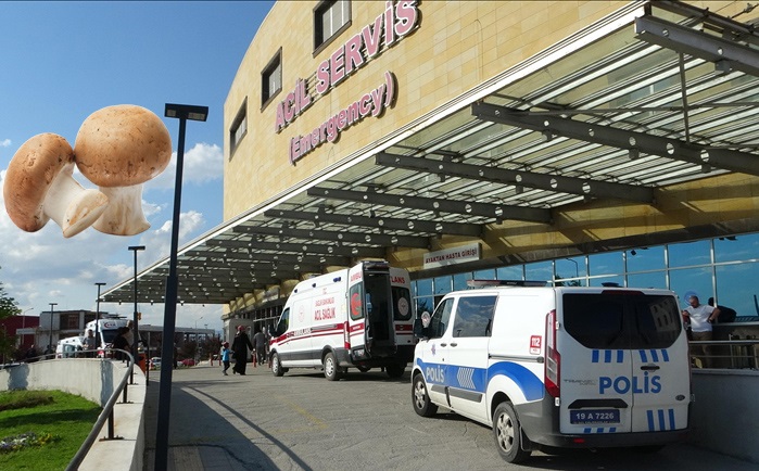 Mantardan zehirlendi hastanelik oldu