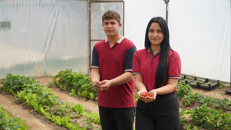 Öğrenciler serada kuşkonmaz yetiştiriyor