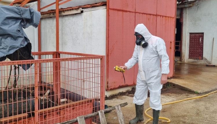 Gaz sızıntısı ihbarı ekipleri harekete geçirdi