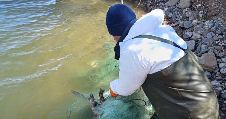 Baraj’da yasa dışı av araçları ele geçirildi