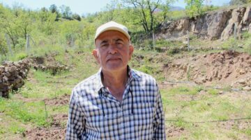 Cevizler donunca çözümü incirde buldu