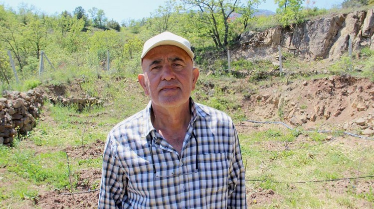 Cevizler donunca çözümü incirde buldu